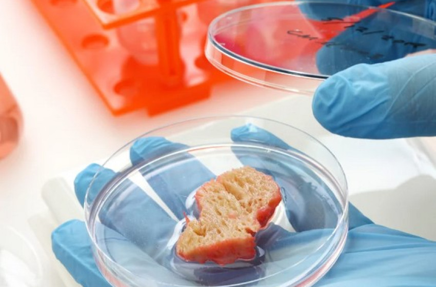 Betiltanák a műhúst Magyarországon